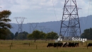 Power Lines & Dairy Cows 2 1180